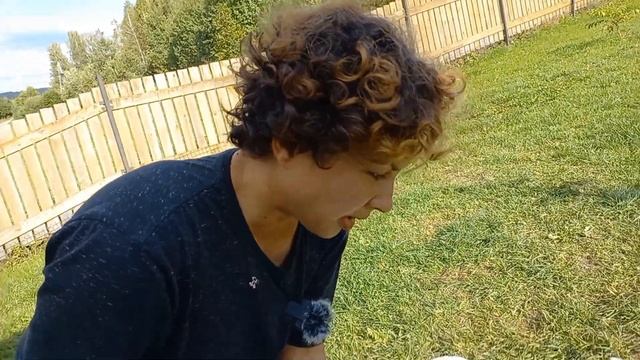 HalTi. Недоуздок для собак. 4 и 2 размер. смотреть онлайн