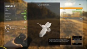 Let’s Hunt GEESE! Canadian Goose Guide - Hunter: Call of the Wild