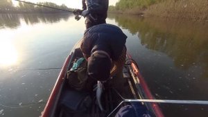 Рыбалка в Астрахани 2019. Зачетные судаки в Никольском!