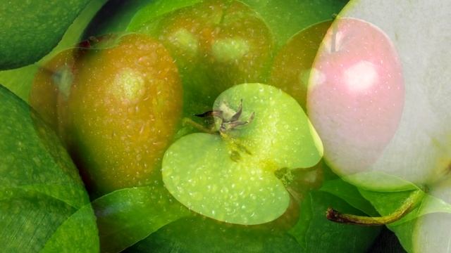 Польза яблок смотреть онлайн