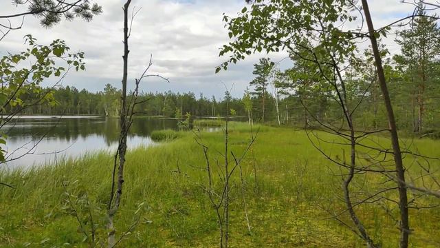 Жихарево Назия.