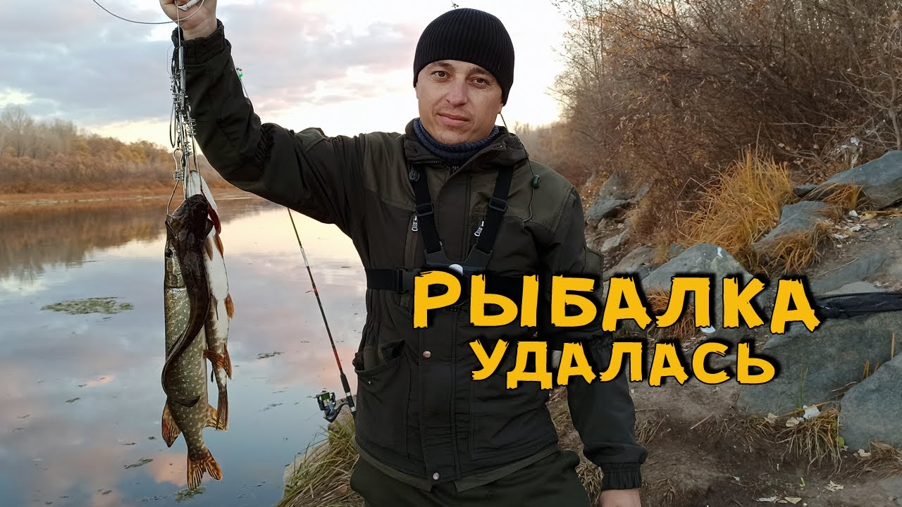 Щука на живца осенью! Рыбалка на кружки. Хорошо разловились!