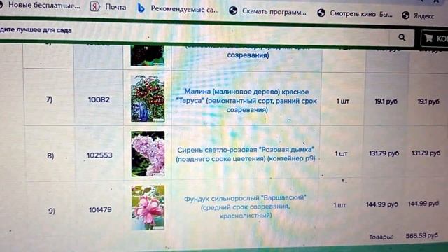 #саженцы_дешево#агромаркет#где_купить_саженцы За копейку!Что??!