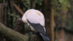 Музыка лечит бессонницу, полезна для сердца и успокаивает нервную систем ? Музыка успокаивает душу