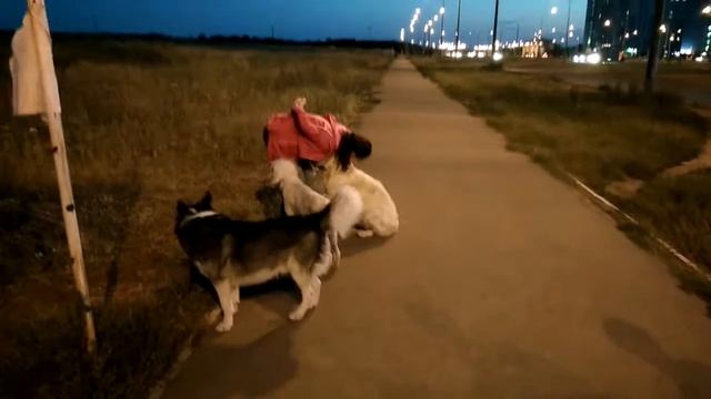 Тина и Арчи. Вечерняя разминка смотреть онлайн