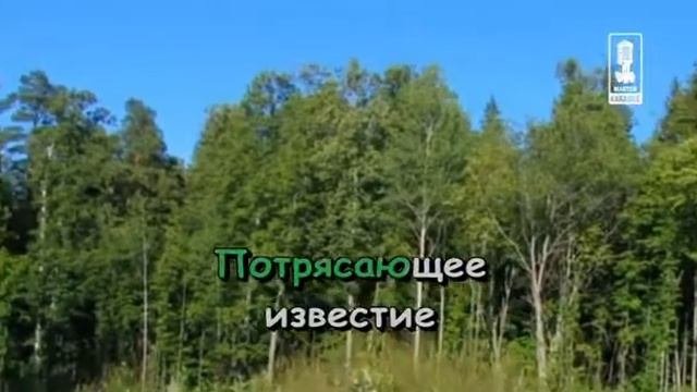 Детские   Чрезвычайное Проишествие