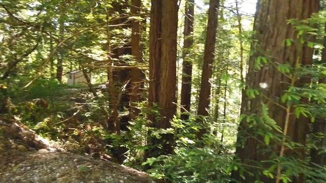 Путешествие в Санта-Круз / Калифорния – лучшее место для жизни? смотреть онлайн