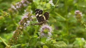 Истории из жизни до слез. Она потеряла сына. Грустные видео про маму до слез, жизненные истории