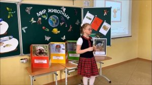 1А класс. Защита проектов по теме: "Мир животных".