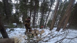 Заготовка дров в деревне. Готовим дрова в лесу.