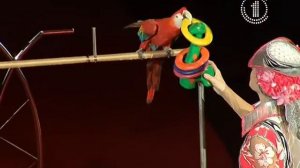 «Волшебный ларец Деда Мороза»