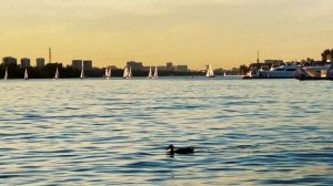 Москва | Яхт-клуб Город Яхт