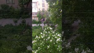 Воздушная тревога очень неприятный и страшный звук