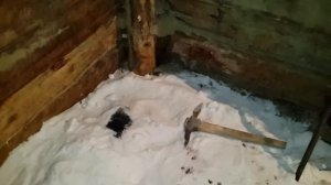 Выкопал ледник(1)