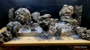 Композиция на конкурс Scapers Hardscape Challenge. Черная лава для аквариума