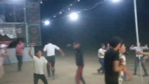 Туй дар Озодий 1