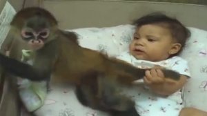 Ребенок играет с детенышем обезьяны