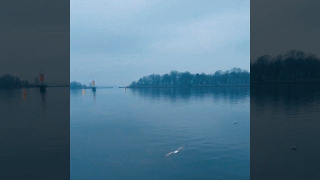 охота и рыбалка.