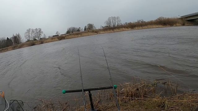 С фидером в бурю ловит только ...самые не здоровые ребята, отчет Но 95 смотреть онлайн