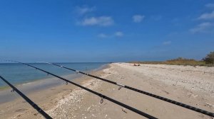 Без труда не выловишь и кефаль из Азовского моря. Бердянск. Коса. 17 09 2022