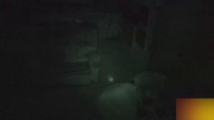 СТРИМ В ПОЛНОЙ ТЕМНОТЕ | ХАЗЯЕВА УГАРАЮТ НА СТРИМХАТЕ