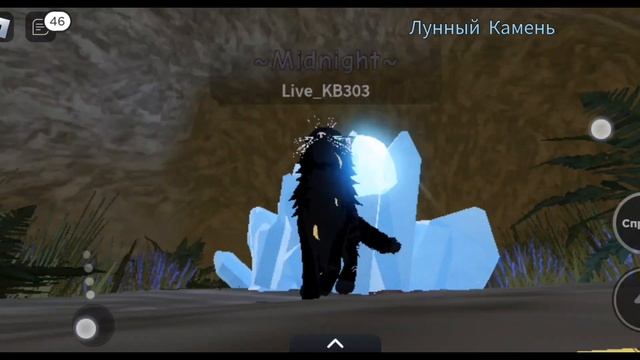 Я играю в котов воителей в роблокс. смотреть онлайн