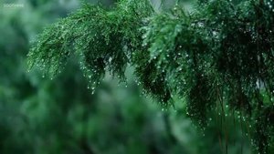 Дождливый день / Расслабляющая музыка фортепиано с мягкими звуками дождя , Спите,  учитесь