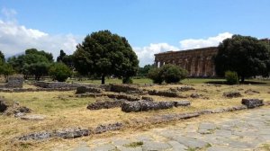 Paestum ruins - Salerno - Italy