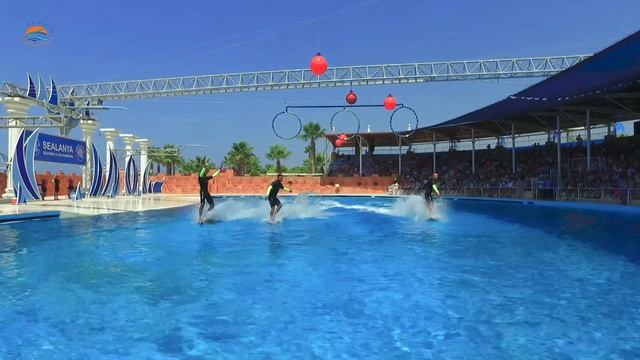 Sealanya Dolphinpark_2017 смотреть онлайн