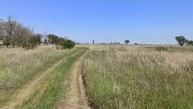 Участки в Крыму до 1 млн рублей