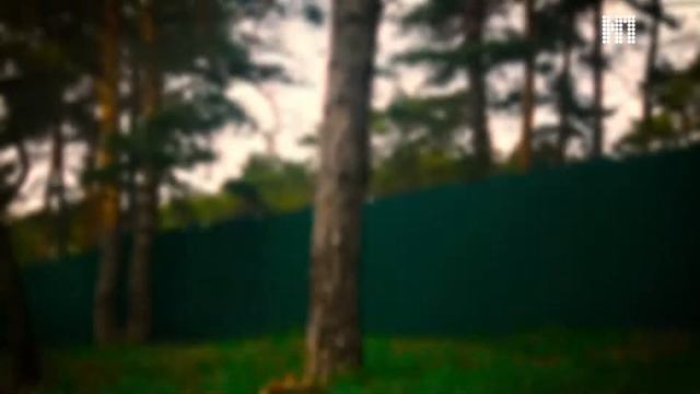 Участки в Лужках с выходом к р.Ока! Недвижимость на Оке! Коттеджи на Оке! смотреть онлайн