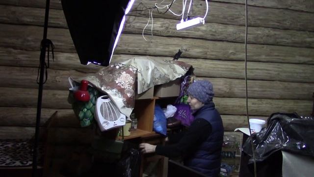 Купила дом, а внутри было очень страшно! Делаю ремонт своими руками, кровать и окно готовы смотреть онлайн