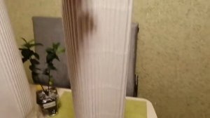 Метельчатые гортензии. ?? Посылка  из питомника "Аннабель". ?