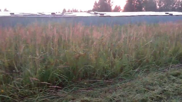 ПЕРЕДЕЛКА КОСИЛКИ FM 150, смотреть онлайн