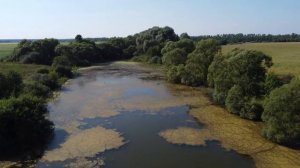 Большой Шубинский пруд, 13.07.21