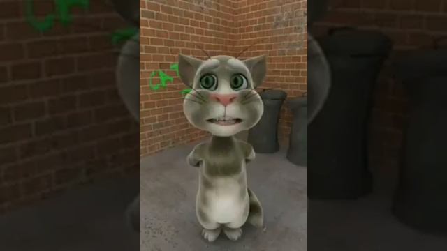 St  Lucian Talking Tom "Soca songs"