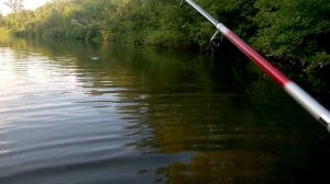 Ловля на попер и хорватское яйцо