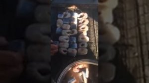 Угорь Калининградского залива.