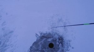 Судак на Madness Baguette. Свияжский Zander