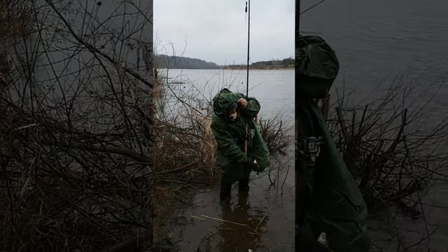 Неман (с Литовской стороны)