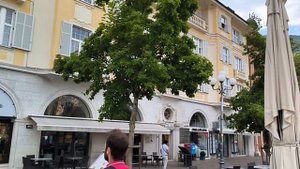 Южный Тироль 2024 Bozen Bolzano
