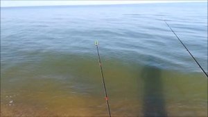 Рыбалка на Азовском море, 18.06.2022