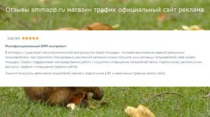 Отзывы smmapp.ru магазин трафик официальный сайт реклама