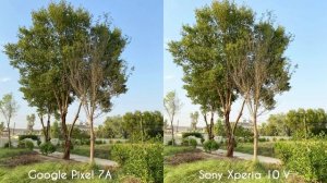 Sony Xperia 10 V VS Google Pixel 7A Camera Comparison