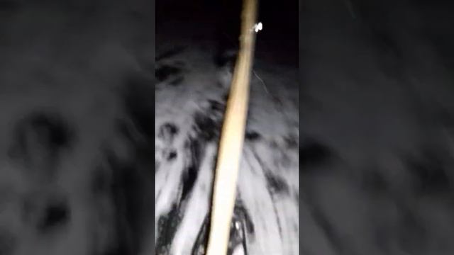 Покатушки зимой на снегокате