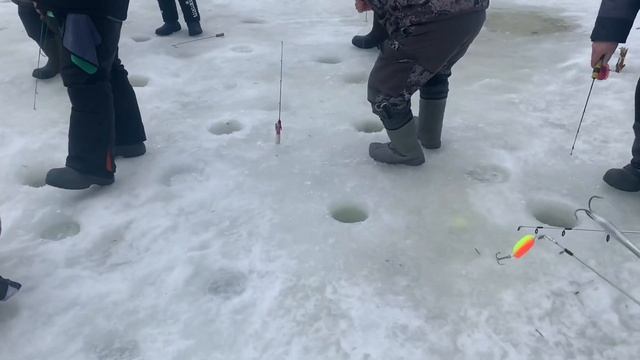 Рыбалка в красногорске спорт зона поимки