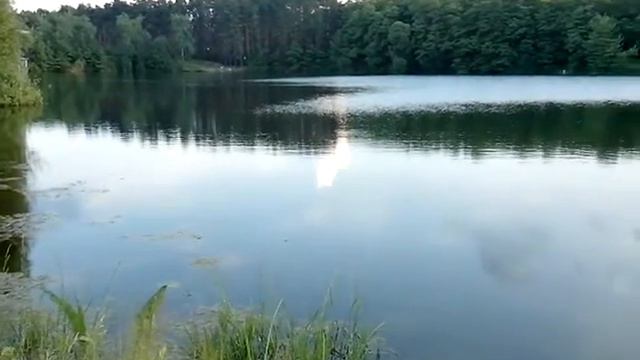 Купить участки возле природного озера г.Житомир смотреть онлайн