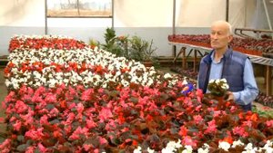 Наманганда гуллар байрами қачон
