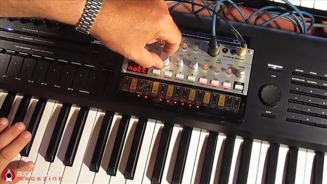 KORG Volca Bass as Synth Expander смотреть онлайн