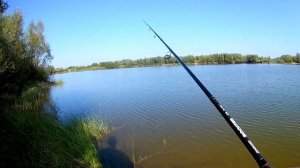 АРБУЗЫ от BearKing снова РУЛЯТ ! ))) ПЕРВАЯ ТРОФЕЙНАЯ ЩУКА !!!